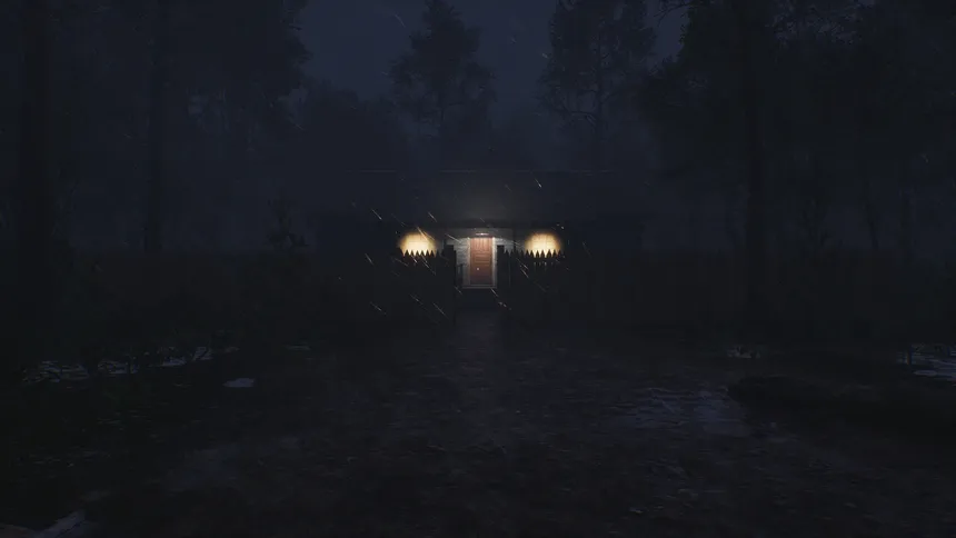 Скриншот 1 к игре Light in the woods
