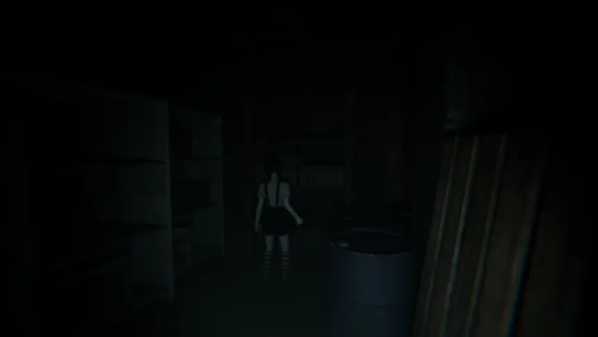 Скриншот 4 к игре Nightfall House