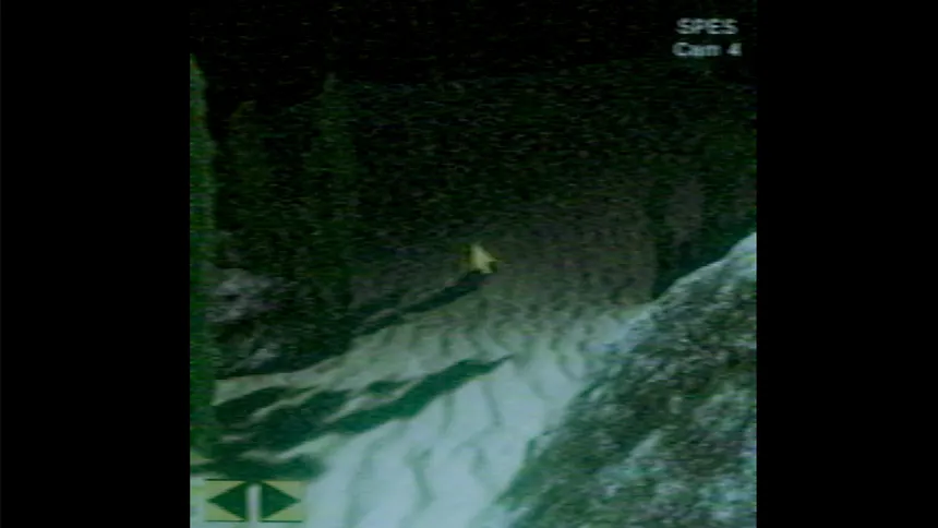 Скриншот 5 к игре Through The Murky Water