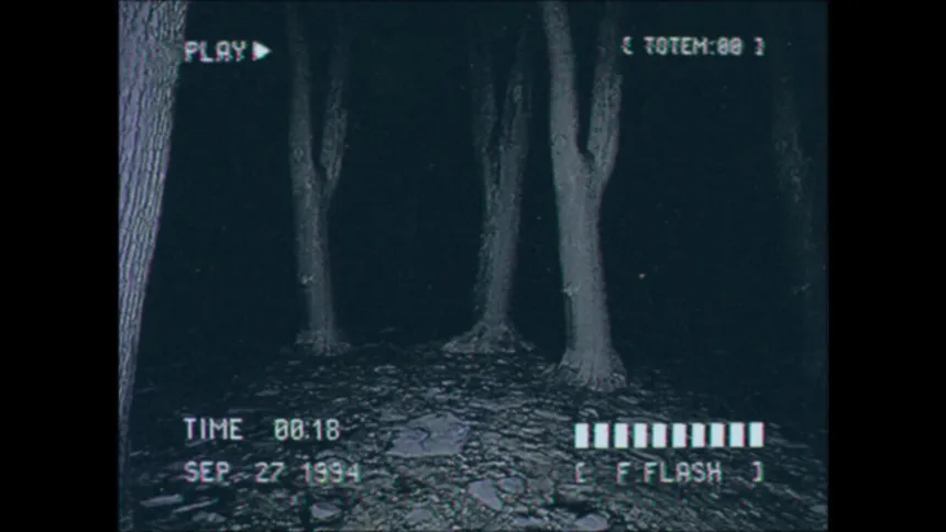 Скриншот 2 к игре Lost Footage : Sound In The Silence