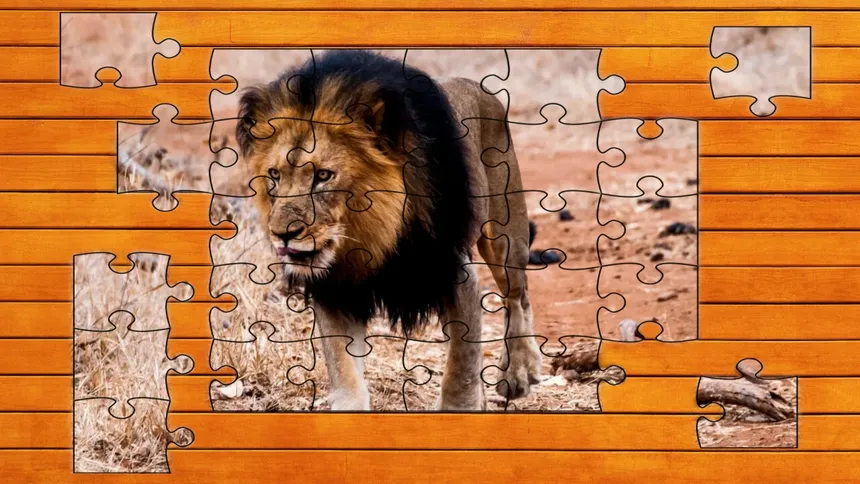 Скриншот 3 к игре Big Cat Jigsaw Quest