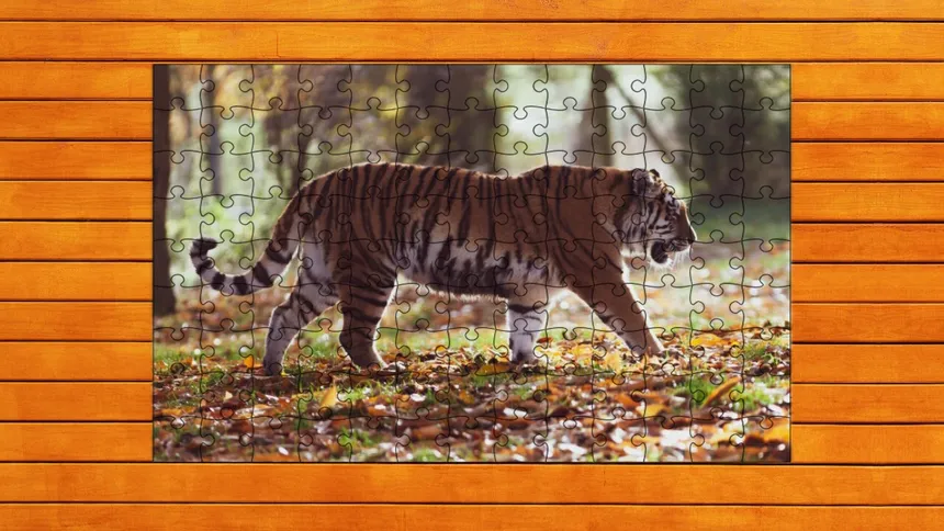 Скриншот 6 к игре Big Cat Jigsaw Quest