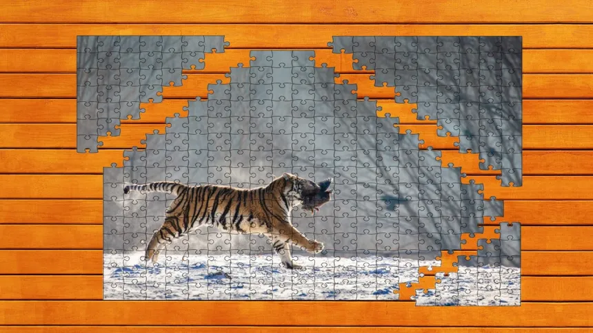 Скриншот 7 к игре Big Cat Jigsaw Quest
