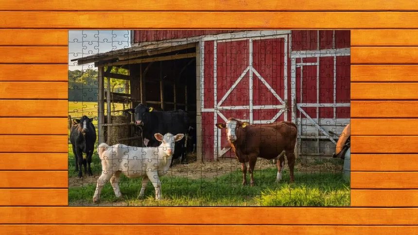 Скриншот 2 к игре Farmyard Pals Jigsaw Puzzles
