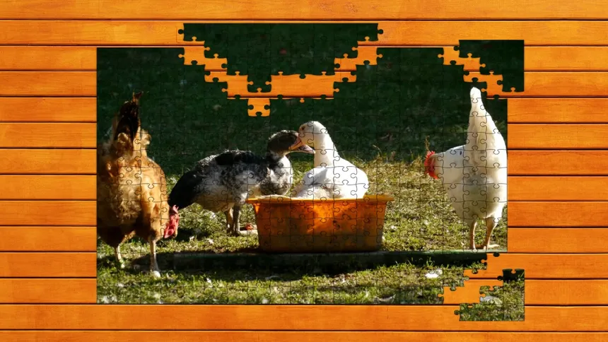 Скриншот 5 к игре Farmyard Pals Jigsaw Puzzles