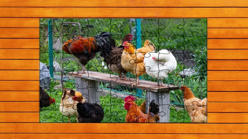 Скриншот 6 к игре Farmyard Pals Jigsaw Puzzles