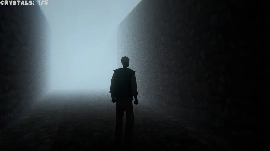 Скриншот 2 к игре Fearful Obscured Grounds