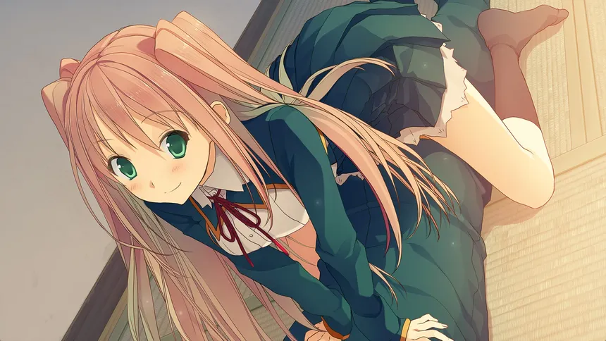 Скриншот 6 к игре Love, Elections, and Chocolate