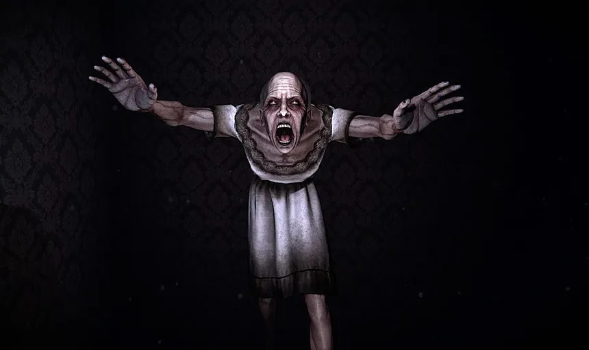 Скриншот 1 к игре The Maid