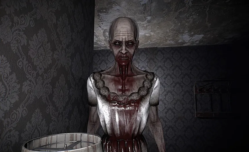 Скриншот 4 к игре The Maid