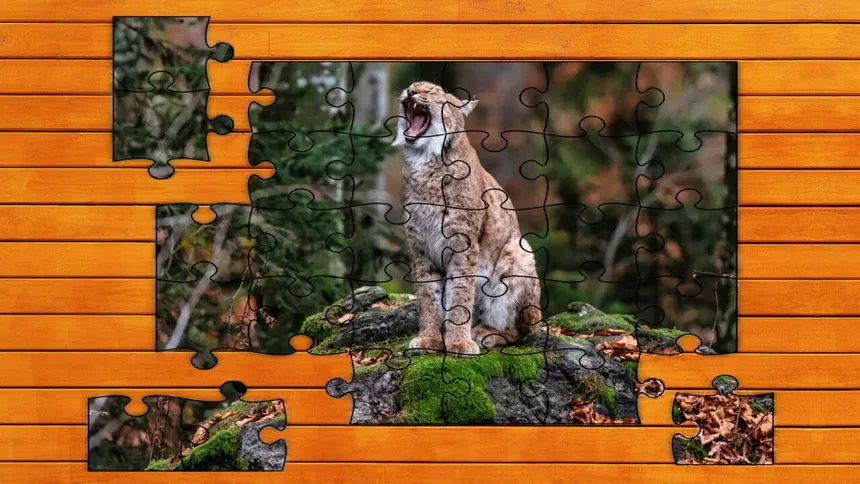 Скриншот 4 к игре Wild Lynx Jigsaw