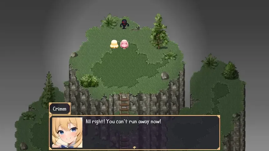Скриншот 1 к игре Magic Sword Girl Twins
