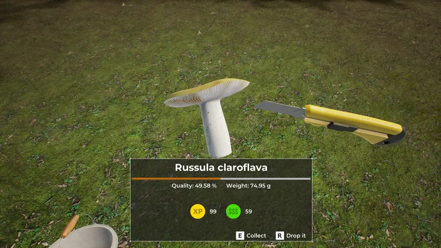 Скриншот 6 к игре Mushroom Hunter World