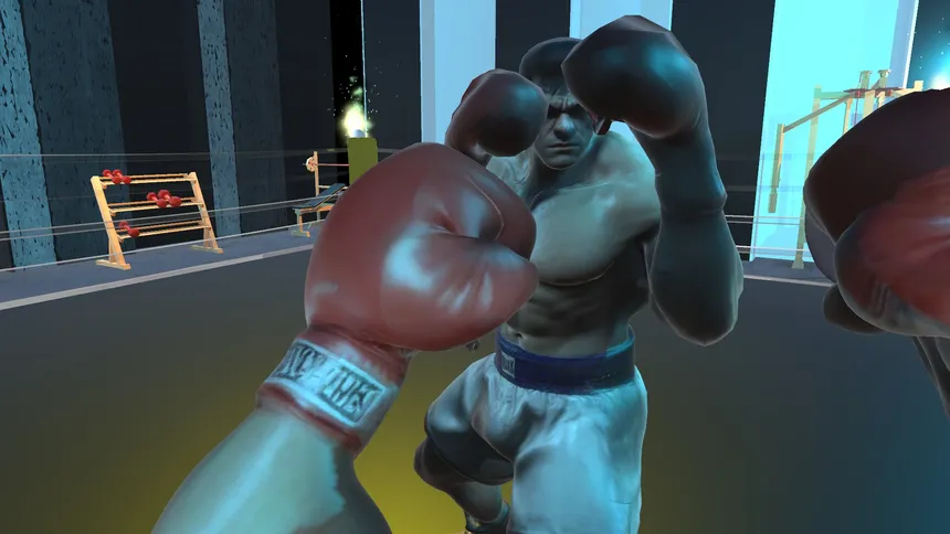 Скриншот 1 к игре Shuruka Boxing