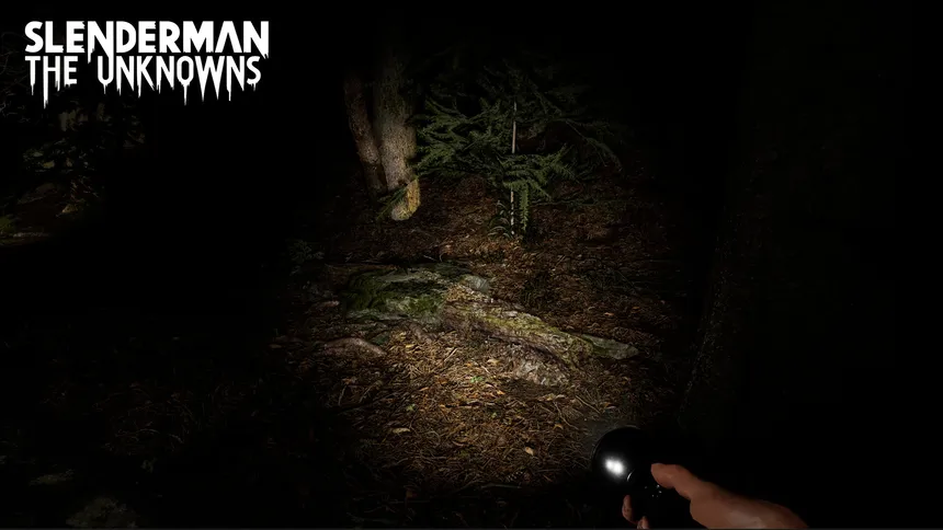 Скриншот 7 к игре Slenderman: The Unknowns