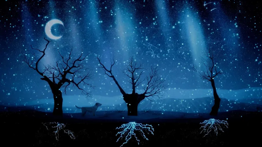 Скриншот 6 к игре Treeplanter: Plant real trees🌲