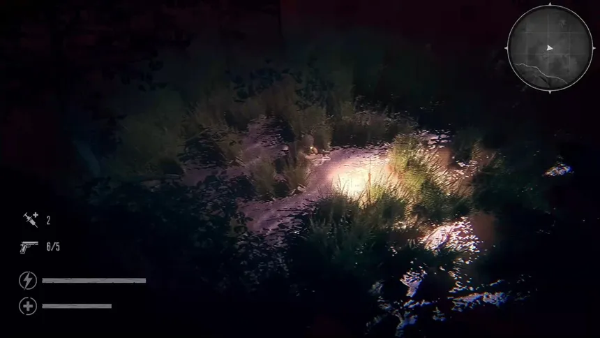 Скриншот 6 к игре The Silent Jungle