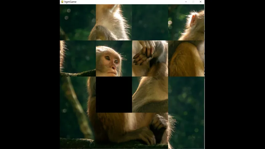 Скриншот 1 к игре hgmGame-monkey