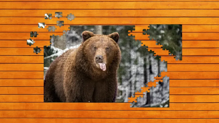 Скриншот 2 к игре Bear vs. Wolf Jigsaw Puzzle