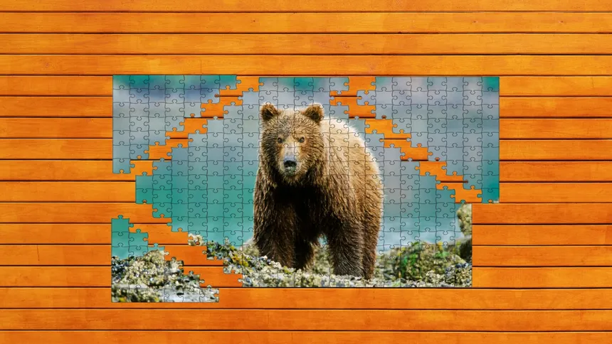 Скриншот 3 к игре Bear vs. Wolf Jigsaw Puzzle