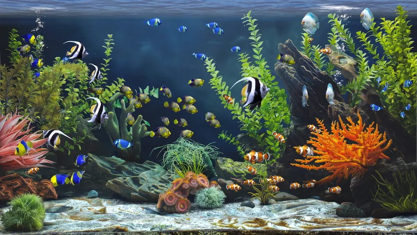 Скриншот 3 к игре Zen Aquarium