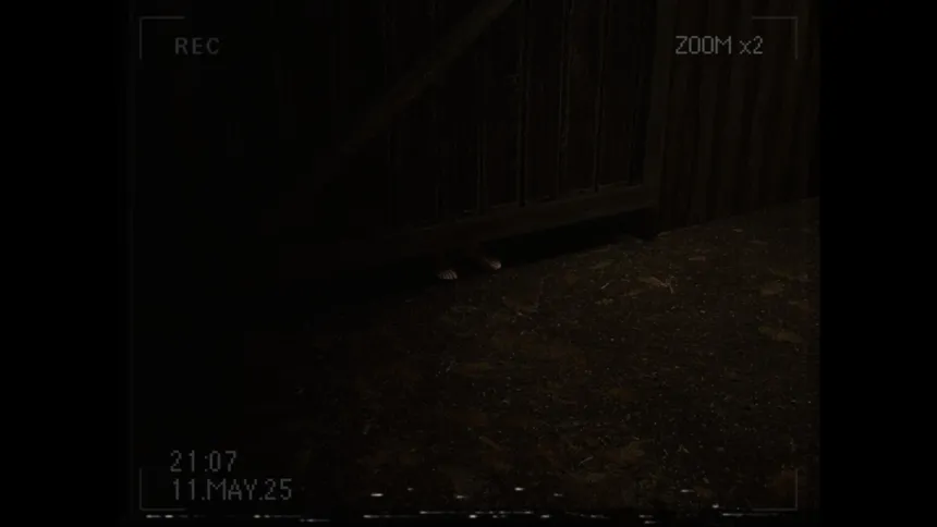 Скриншот 5 к игре What Happened to Lily?