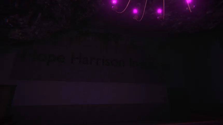 Скриншот 3 к игре Hope Harrison