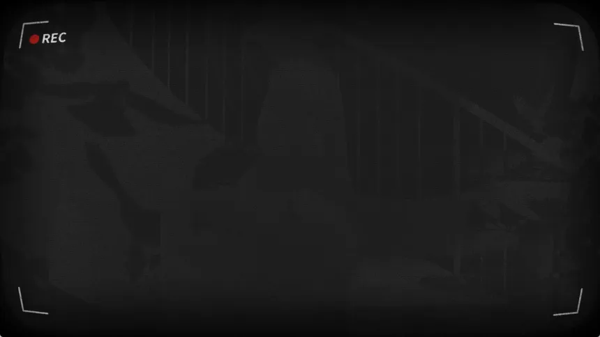 Скриншот 2 к игре Invisible Room