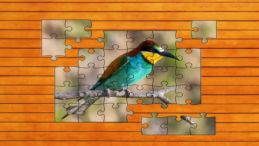 Скриншот 3 к игре Whispers of Wings Jigsaw Puzzles
