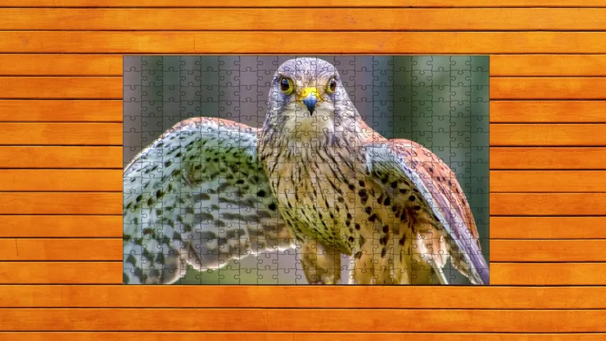 Скриншот 4 к игре Whispers of Wings Jigsaw Puzzles