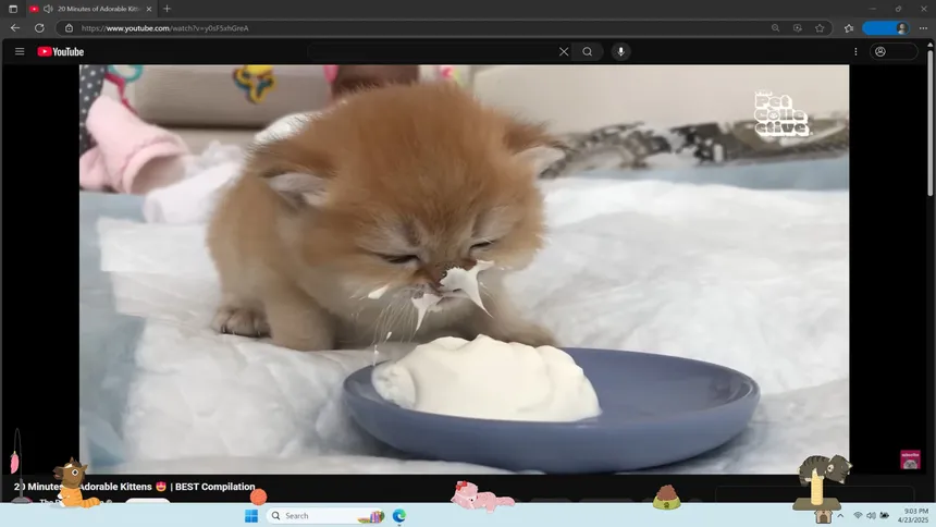 Скриншот 2 к игре Digital Desktop Cats