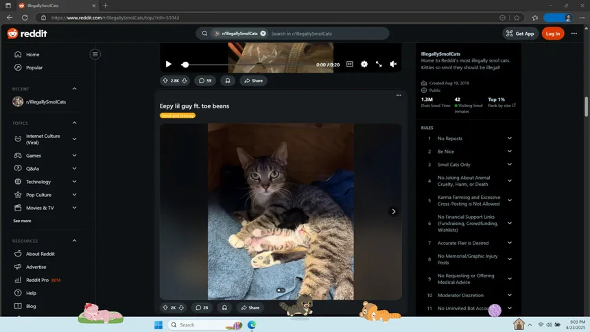 Скриншот 4 к игре Digital Desktop Cats