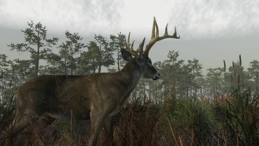 Скриншот 1 к игре Deer Hunting Camp