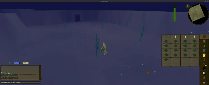 Скриншот 2 к игре Remote Realms
