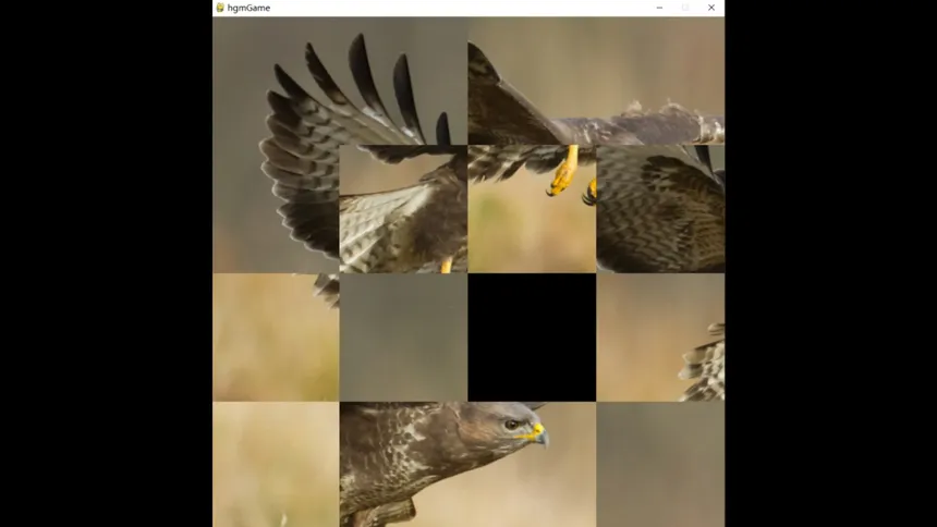 Скриншот 2 к игре hgmGame-eagle