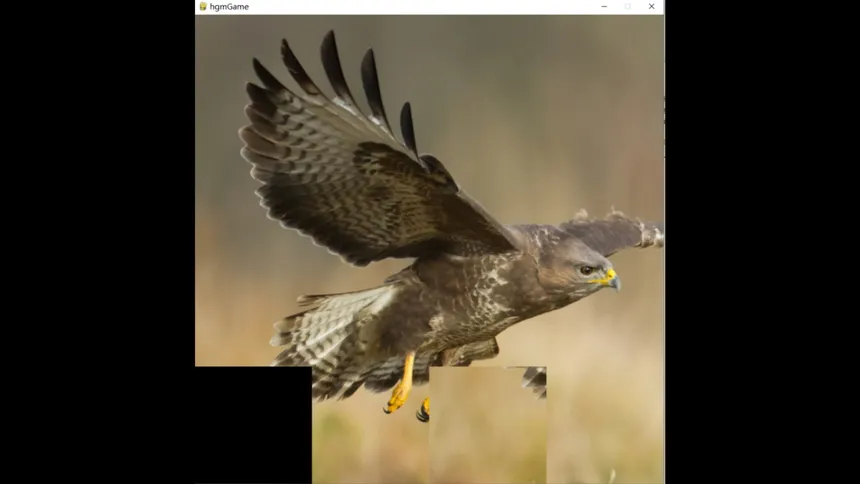 Скриншот 5 к игре hgmGame-eagle