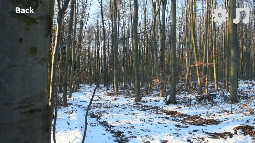 Скриншот 7 к игре Rest Point