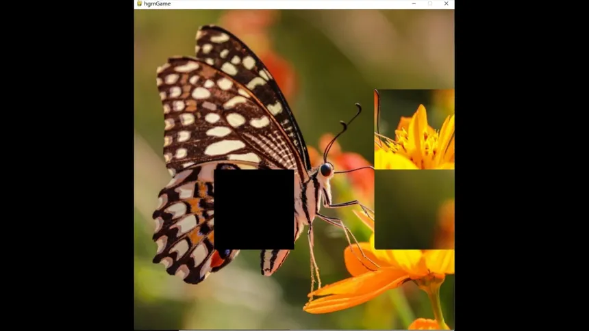 Скриншот 1 к игре hgmGame-butterfly