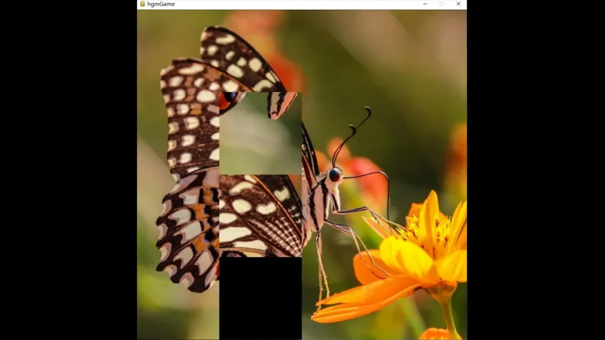 Скриншот 4 к игре hgmGame-butterfly