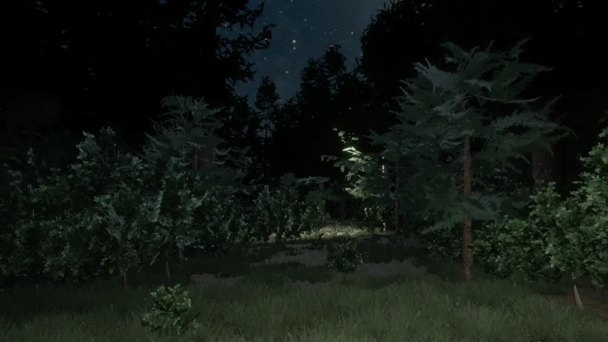 Скриншот 5 к игре Darkness in the Forest
