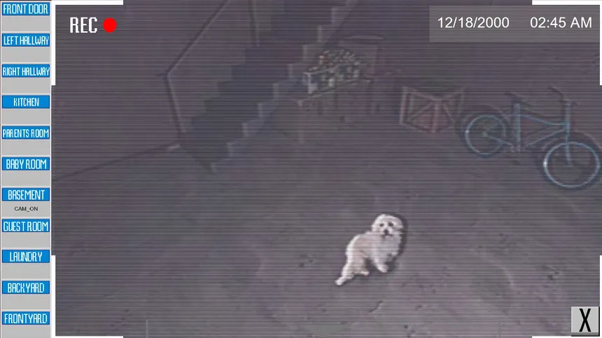 Скриншот 2 к игре The Puppy