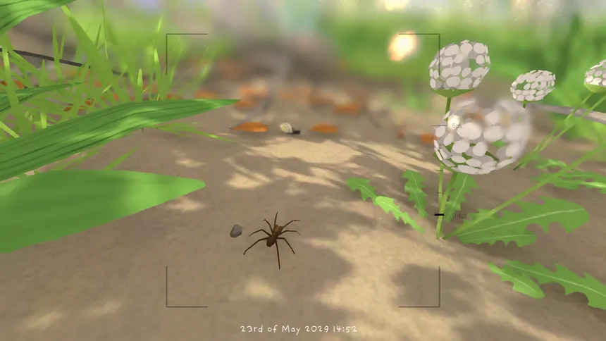 Скриншот 6 к игре Grow Wild