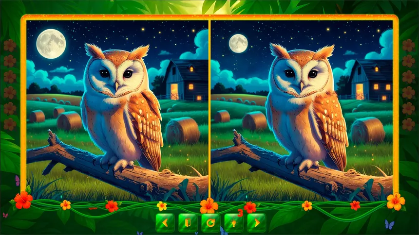 Скриншот 5 к игре BirdQuest  Find the Difference