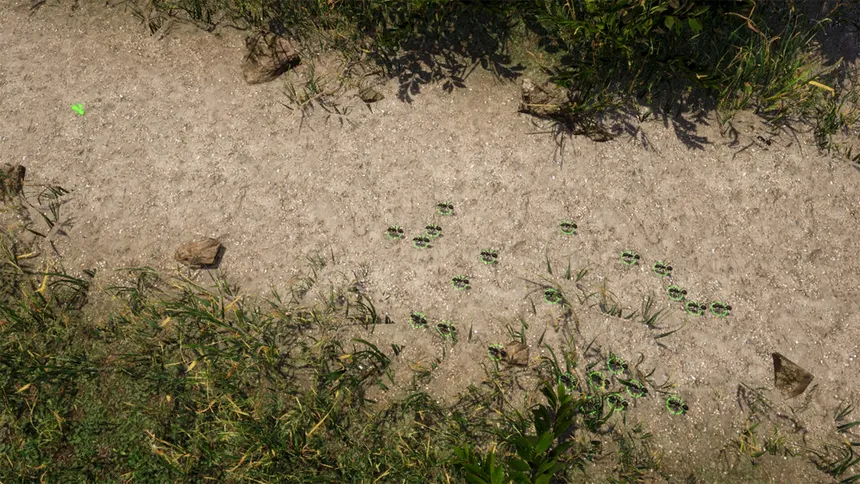 Скриншот 4 к игре Empire of the Insects