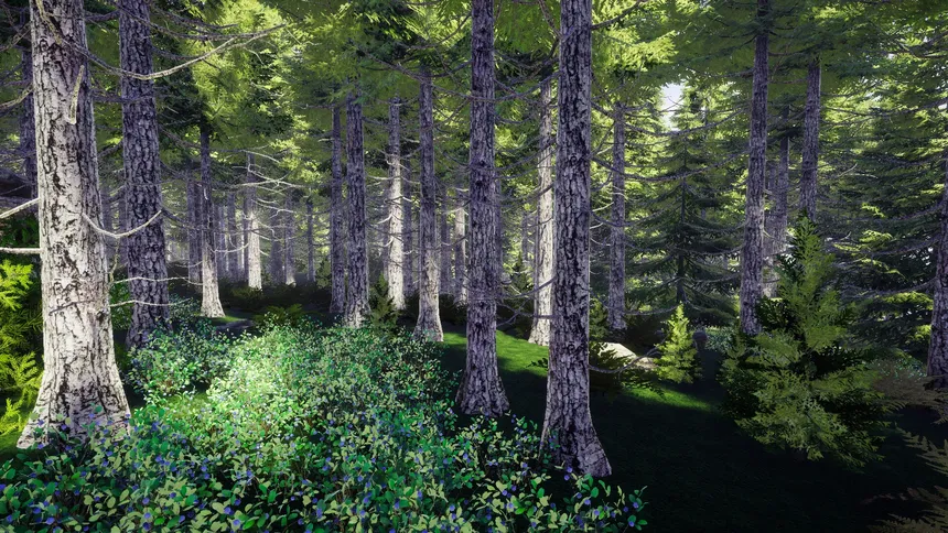 Скриншот 3 к игре Finnish Forest