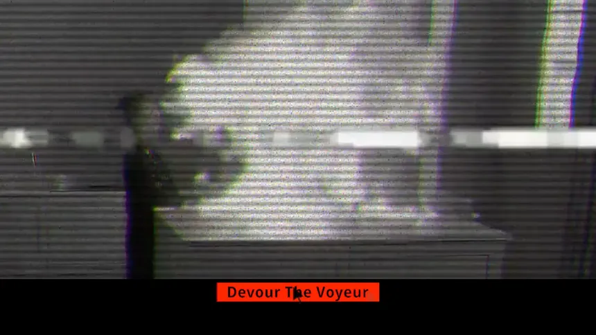 Скриншот 8 к игре FMV - Full Motion Voyeur