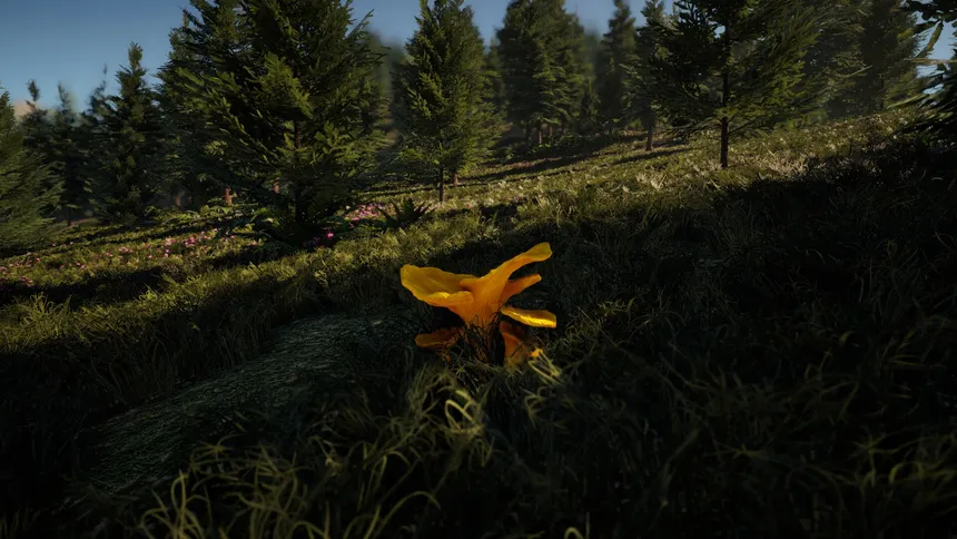 Скриншот 1 к игре Forager's Finds