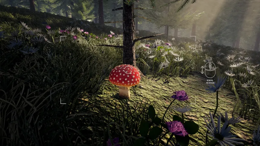 Скриншот 2 к игре Forager's Finds
