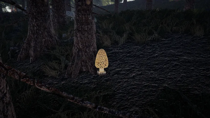 Скриншот 6 к игре Forager's Finds