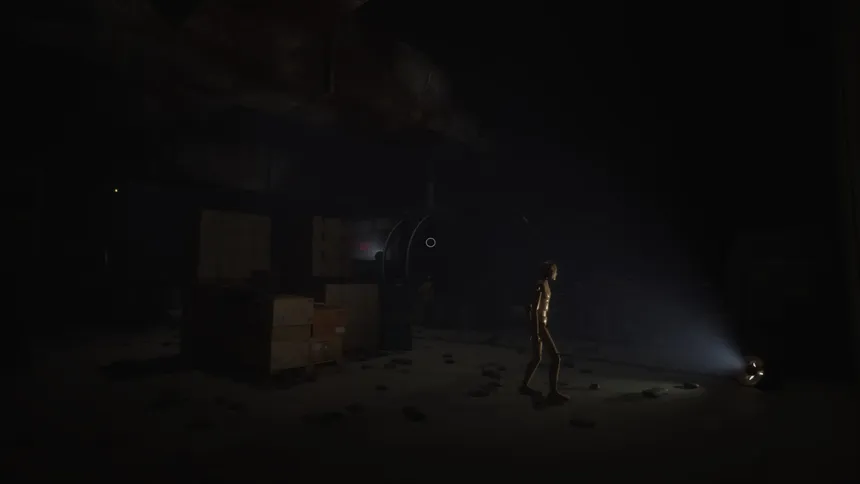 Скриншот 5 к игре Dimmed Light
